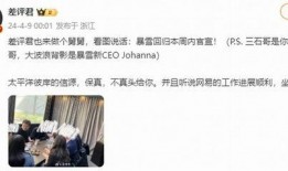 最新爆料暴雪事件新闻内容,揭秘幕后真相与影响